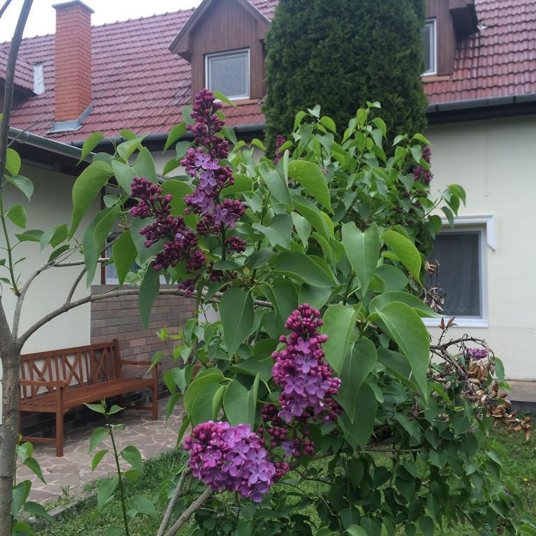Apartamento Harmónia Panzió Bogács Exterior foto